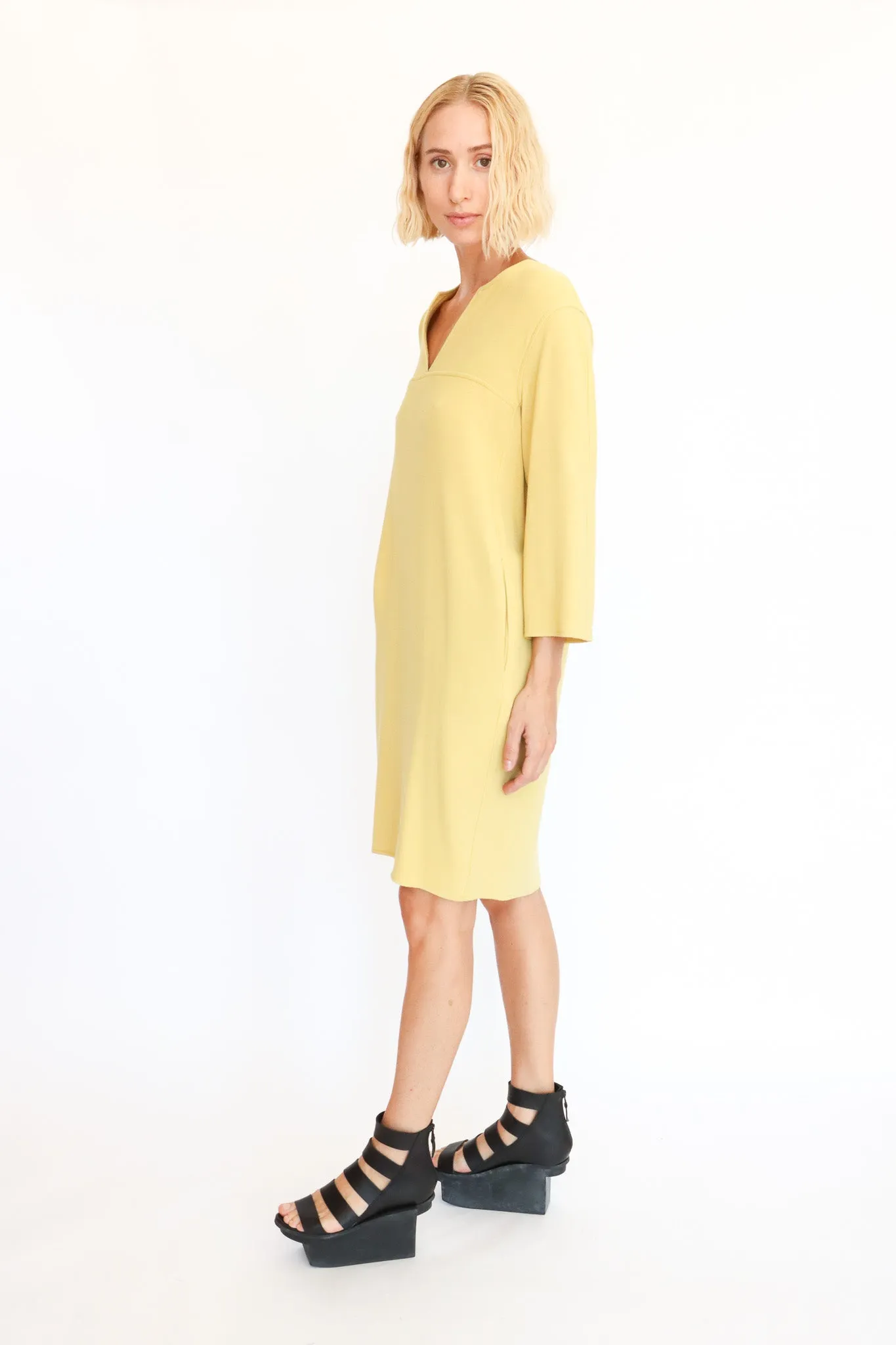 Antonelli Mark Dress (2 Colors)