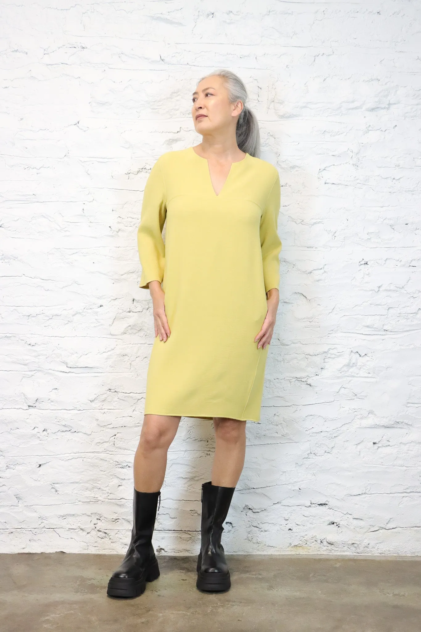 Antonelli Mark Dress (2 Colors)