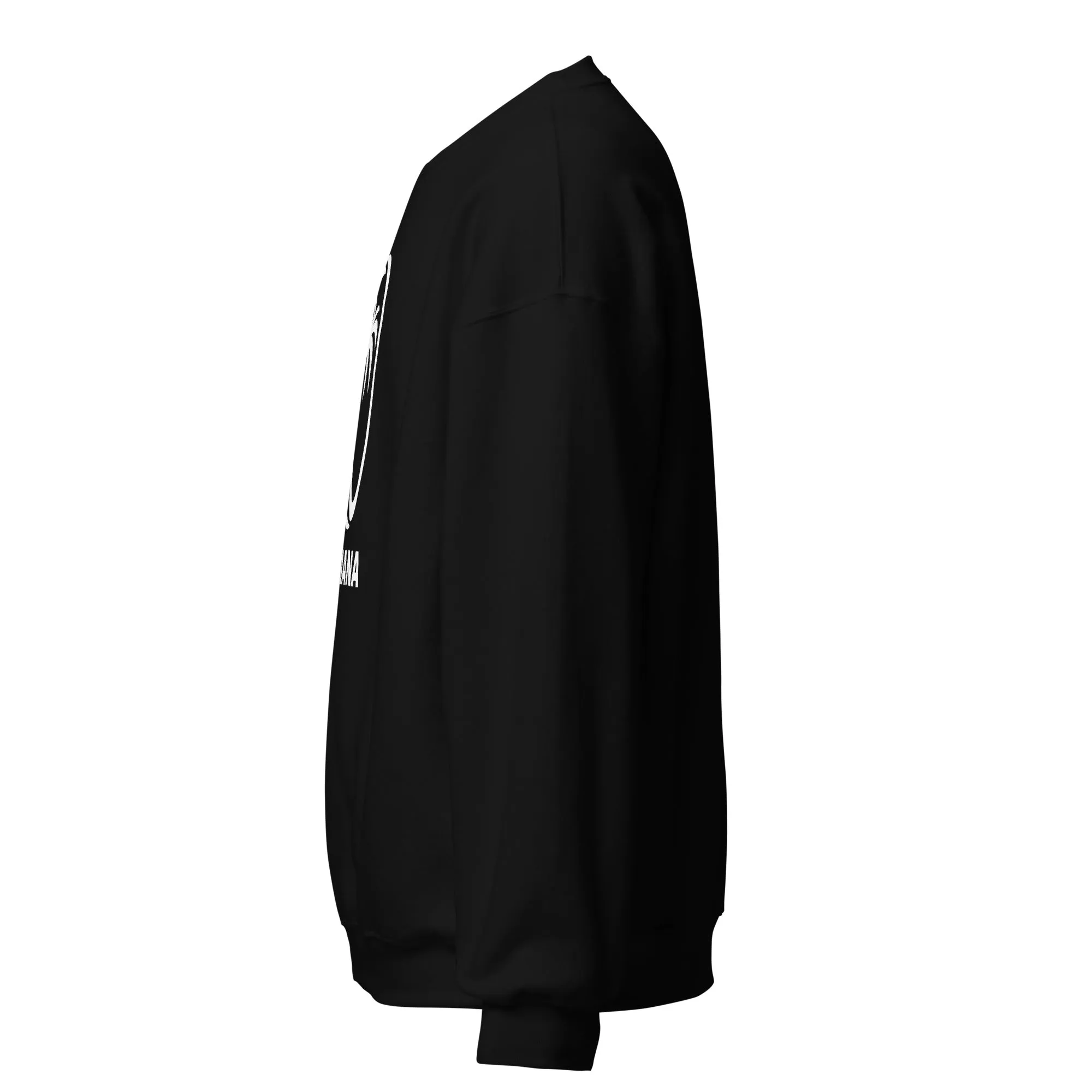 Fijiana Slouchy Black Sweatshirt