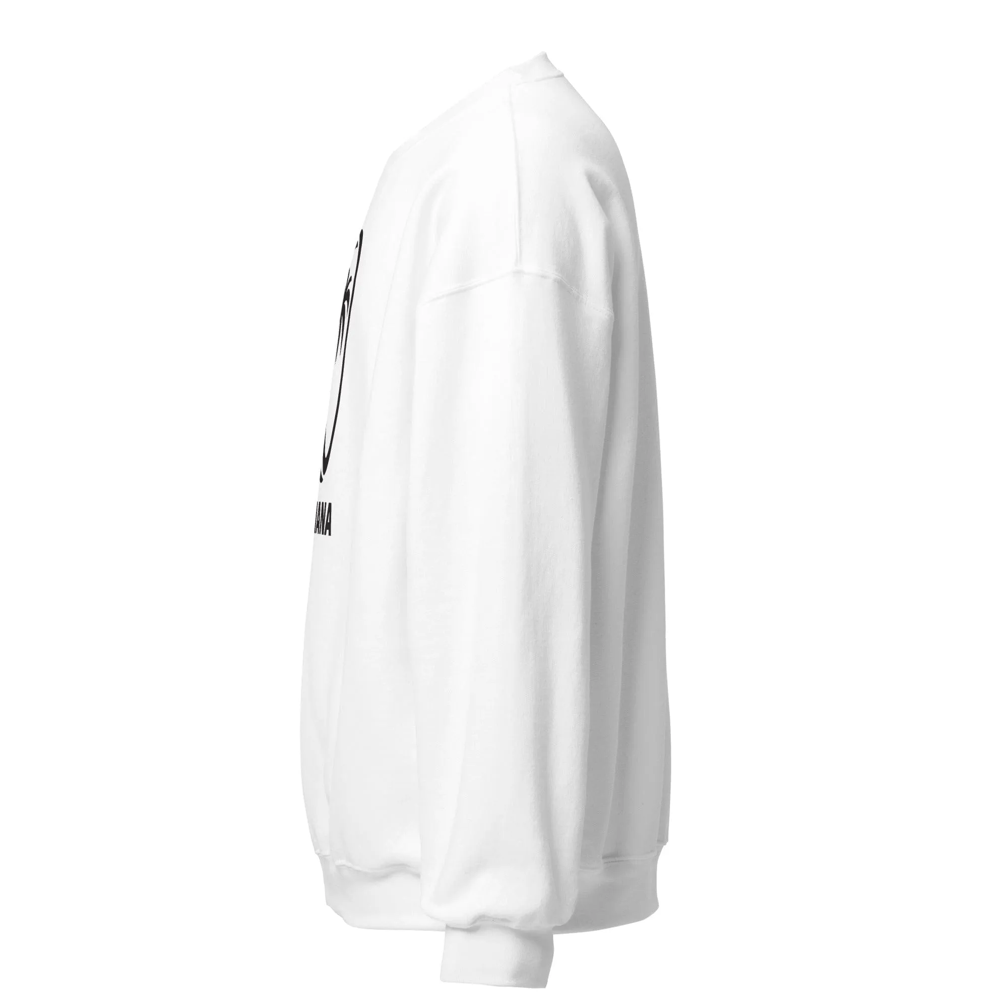 Fijiana Slouchy White Sweatshirt