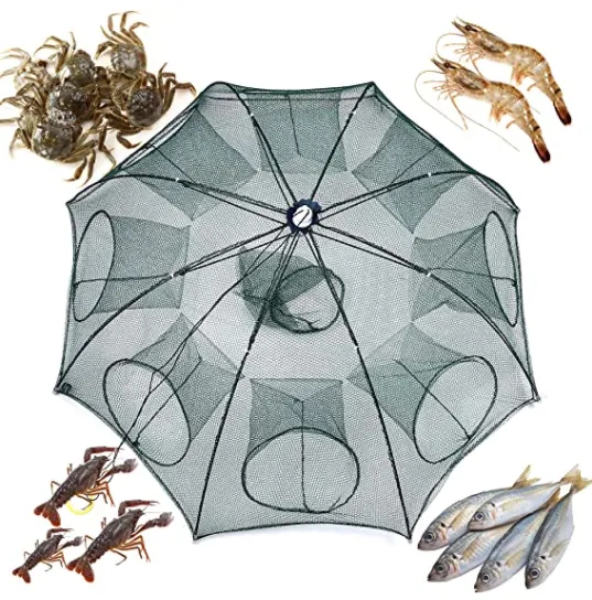Fishing Umbrella Net & Bait Trap