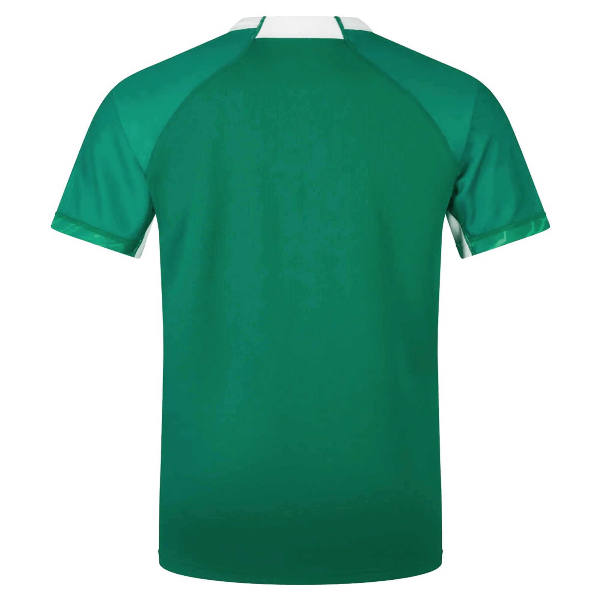 Ireland 24 Home Pro Jersey by Canterbury