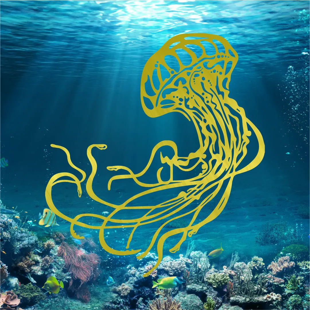 Jellyfish