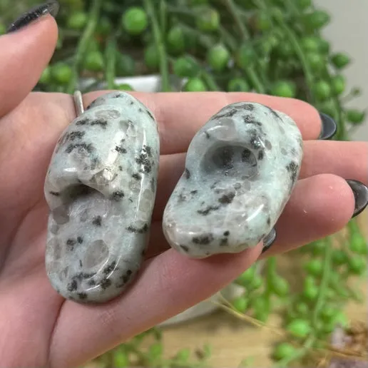 Kiwi Jasper Slippers (I875)