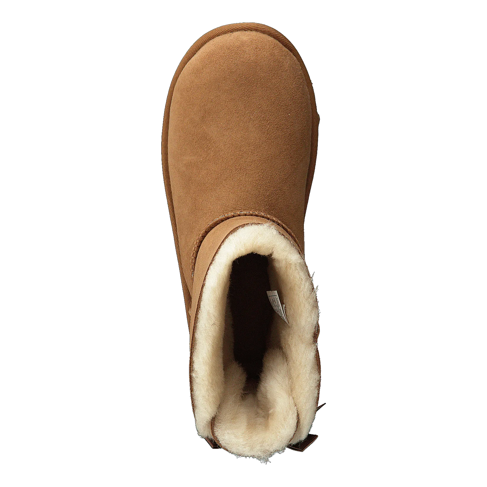 Mini Bailey Bow Ii Chestnut