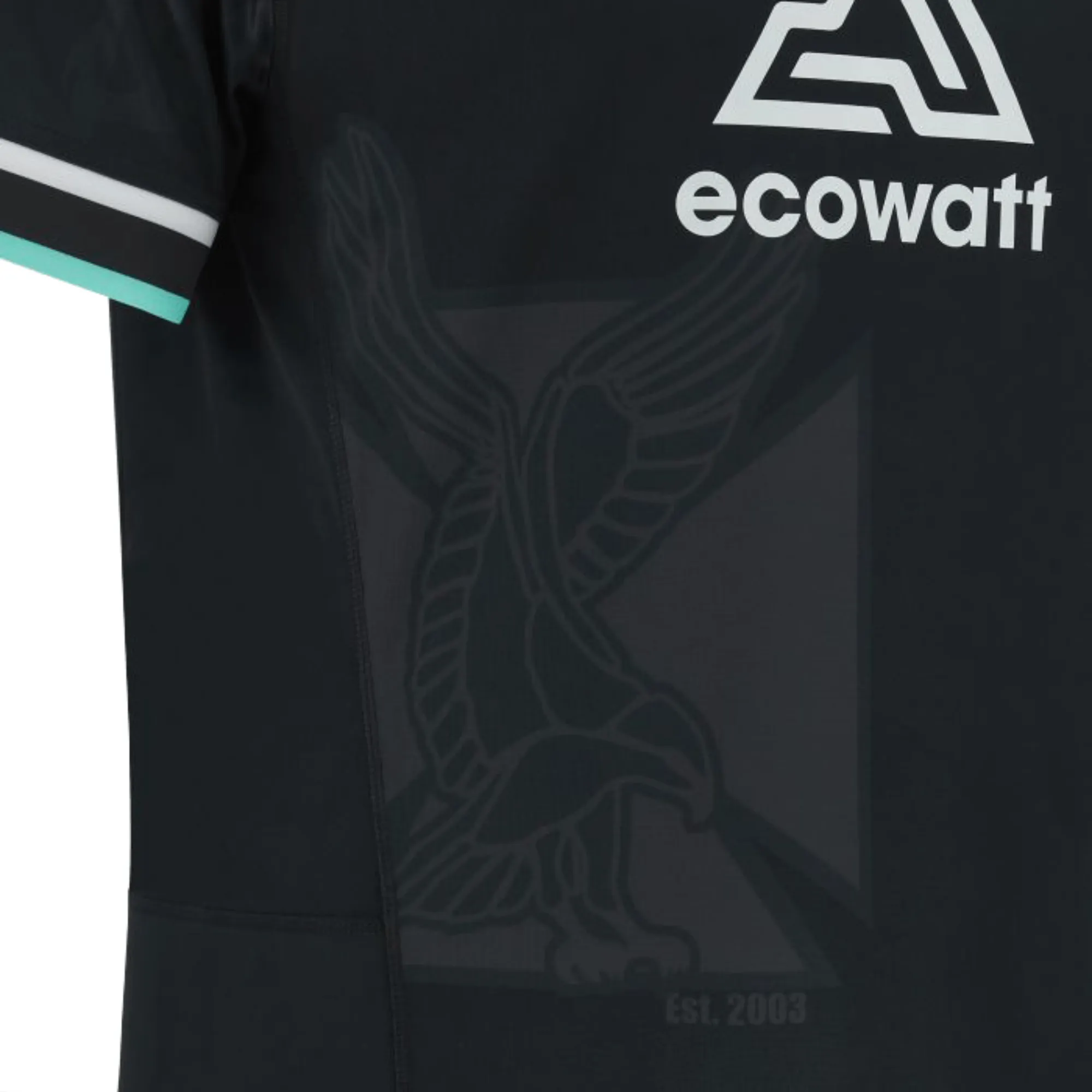 Ospreys Home Jersey 23/24 by Macron