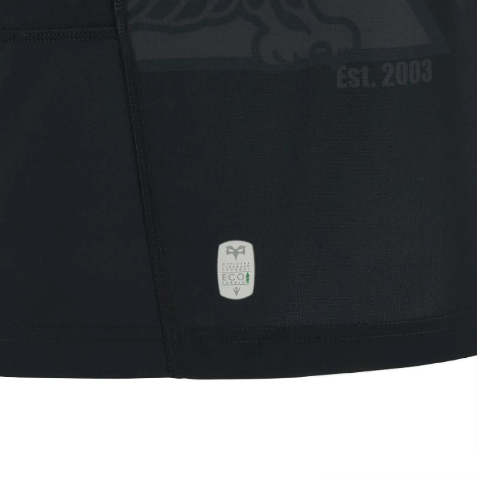 Ospreys Home Jersey 23/24 by Macron