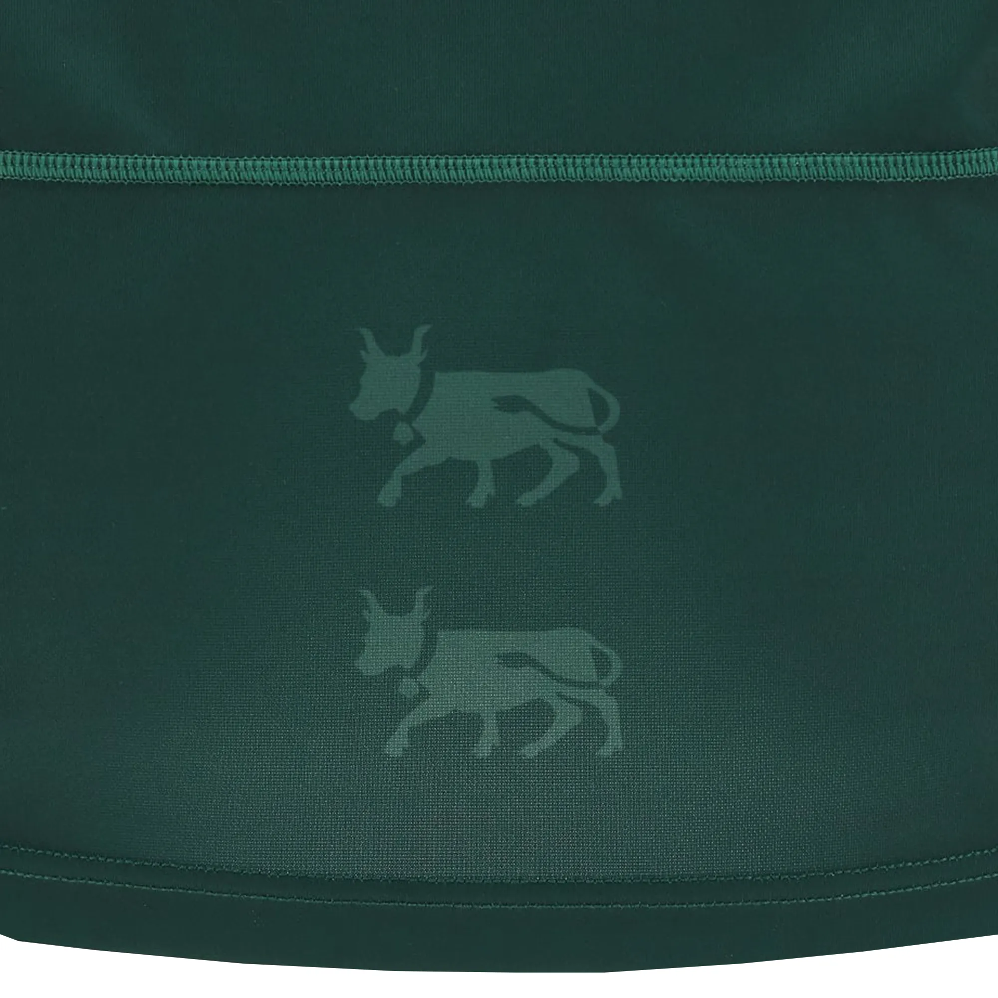 Section Paloise Rugby 24/25 Replica Home Jersey by Macron