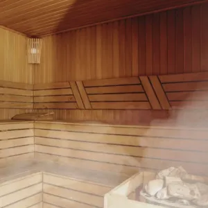 TRADITIONAL SAUNA