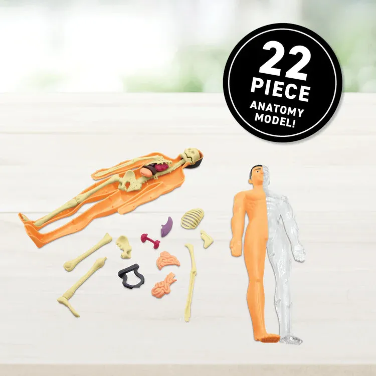 VR Human Body!  Gift Box