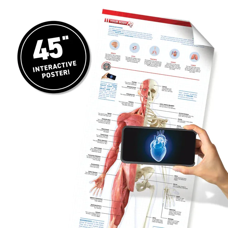 VR Human Body!  Gift Box