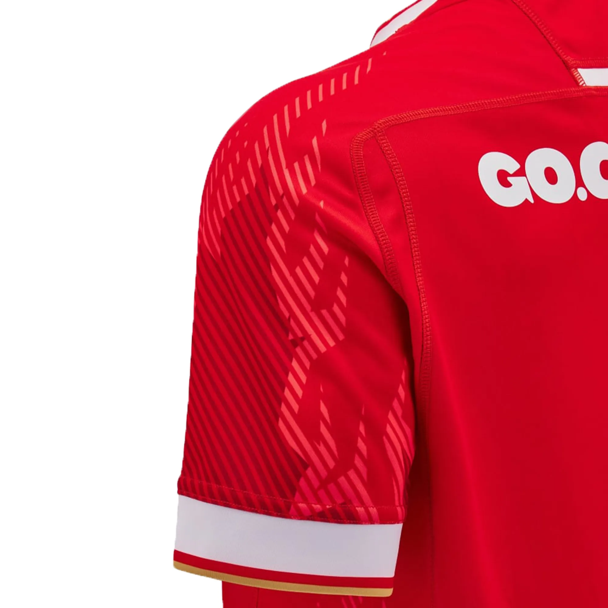 Wales 24/25 6 Nations Replica Home Jersey by Macron