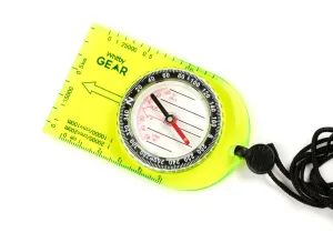 Whitby Gear Compass - WG40